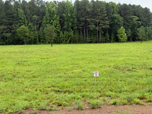 Open Field