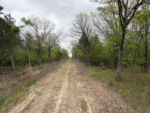 Dirt Road