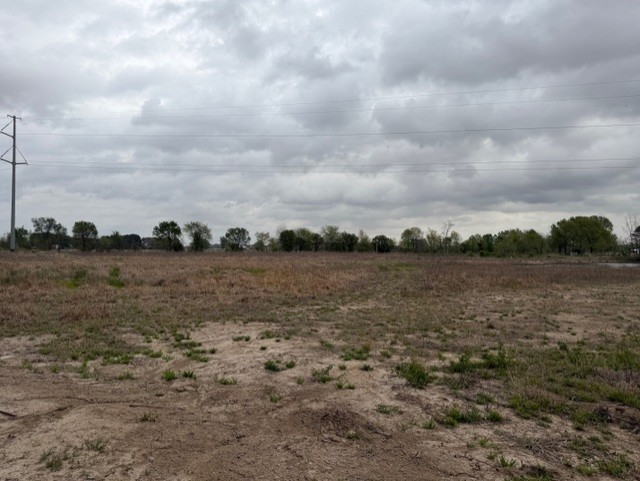 Open Field